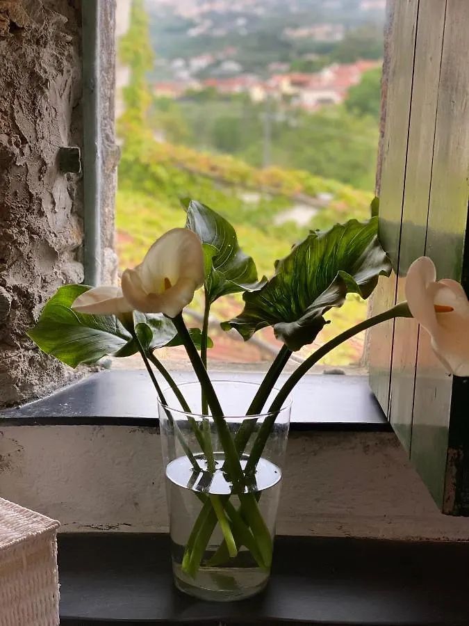 Bed and Breakfast La Casa di Giobatta Tovo San Giacomo 0*,  Italia