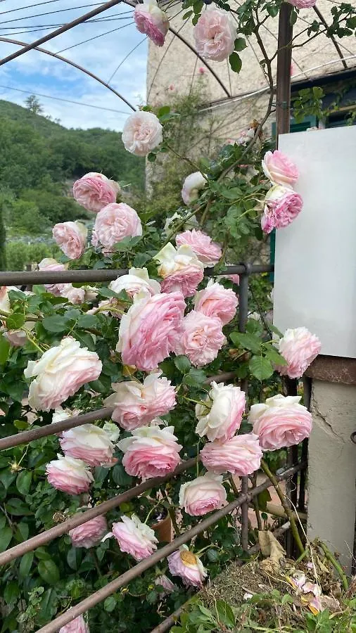 Bed and Breakfast La Casa di Giobatta Tovo San Giacomo