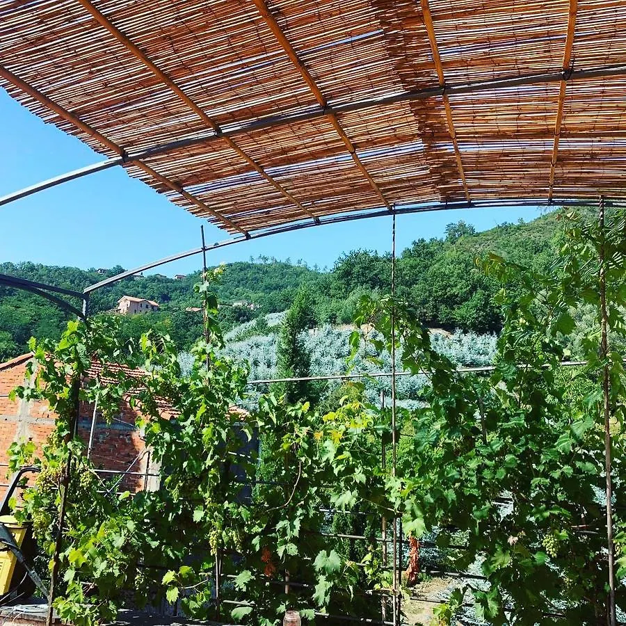 Bed and Breakfast La Casa di Giobatta Tovo San Giacomo 0*,